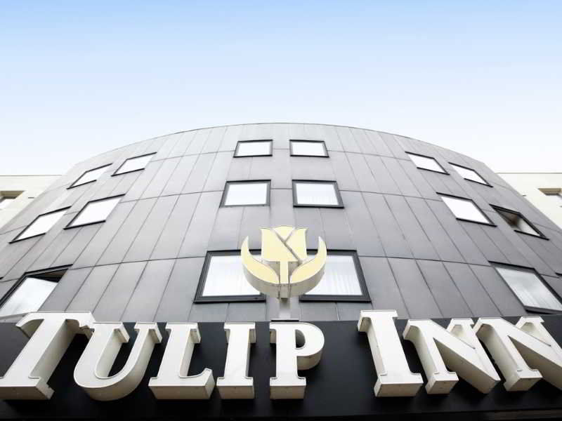 Tulip Antwerp