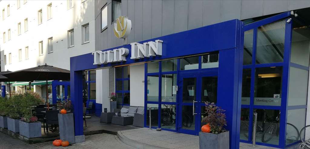 Tulip 3*